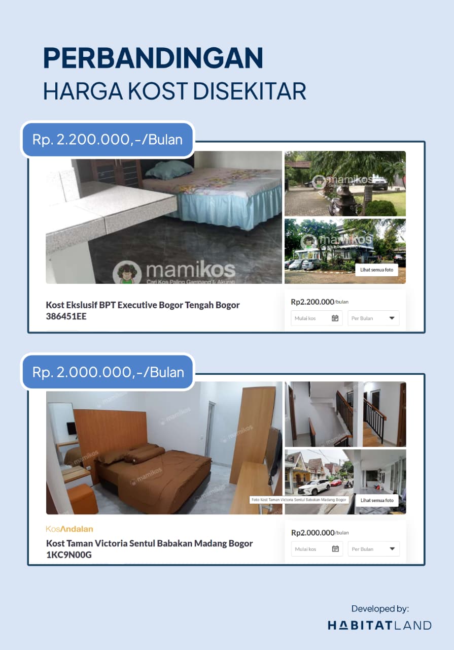 WhatsApp Image 2026-02-12 at 16.20.16